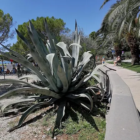 Summer 4 Apartmán *