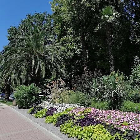 Summer 4 Apartman