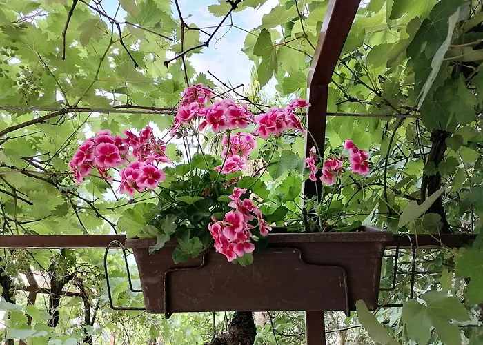 Summer 4 Διαμέρισμα