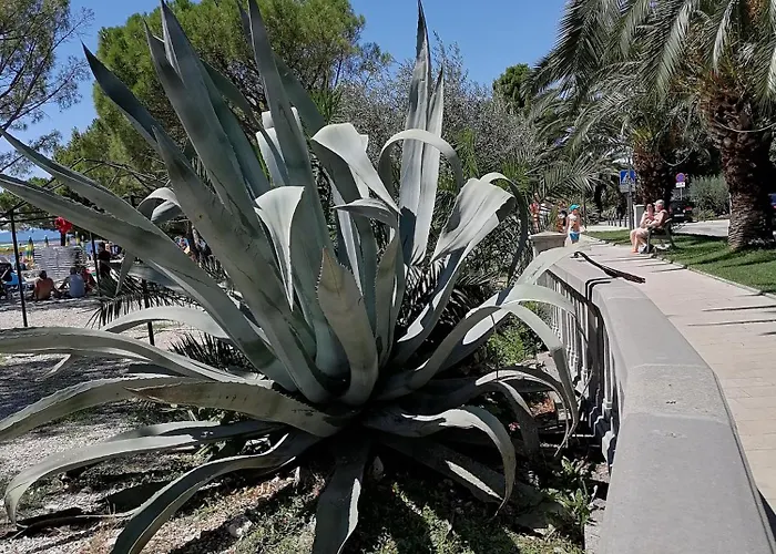 Summer 4 Διαμέρισμα *